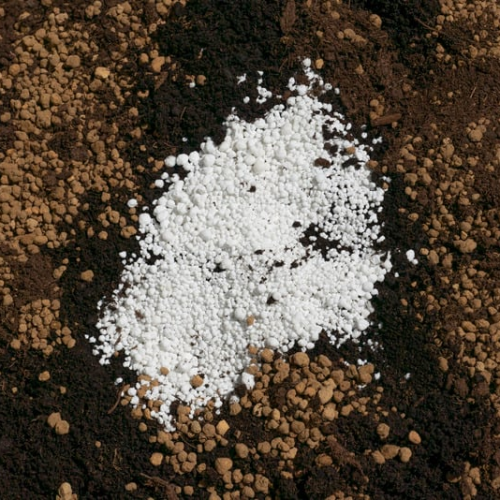 Album 1