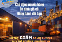 Giá Dầu Tăng: Áp Lực Mới Lên Thị Trường Nguyên Liệu Thuốc BVTV1212