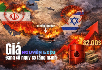 Giá Dầu Tăng: Áp Lực Mới Lên Thị Trường Nguyên Liệu Thuốc BVTV 11