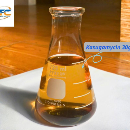 KASUGAMYCIN