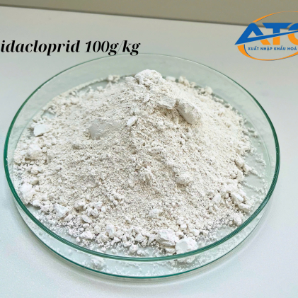 BTP INMANDA 100WP