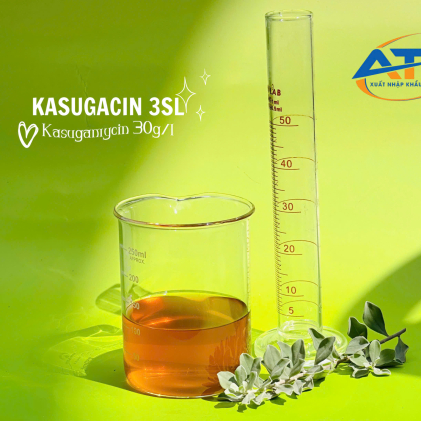BTP KASUGACIN 3SL