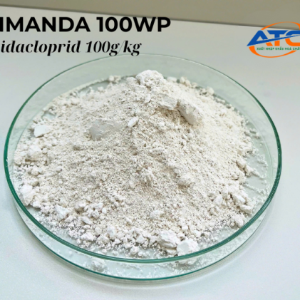 INMANDA 100WP