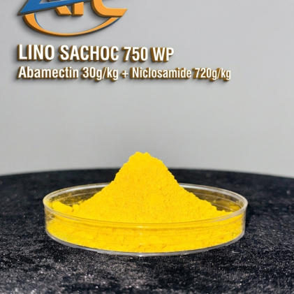 LINO SACHOC 750WP