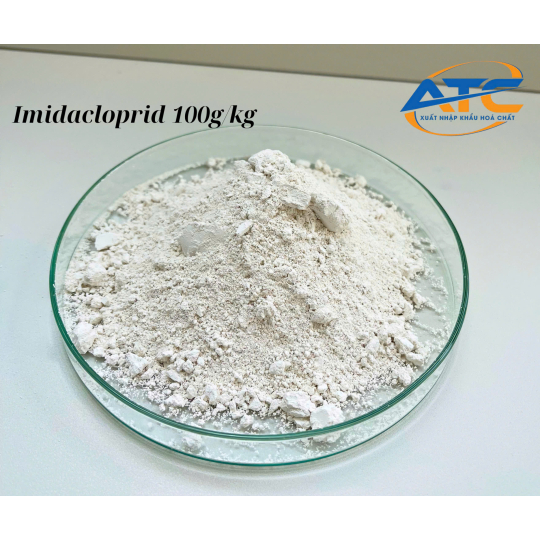 BTP INMANDA 100WP