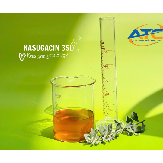 BTP KASUGACIN 3SL
