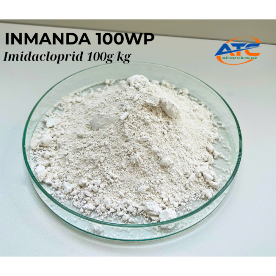 INMANDA 100WP
