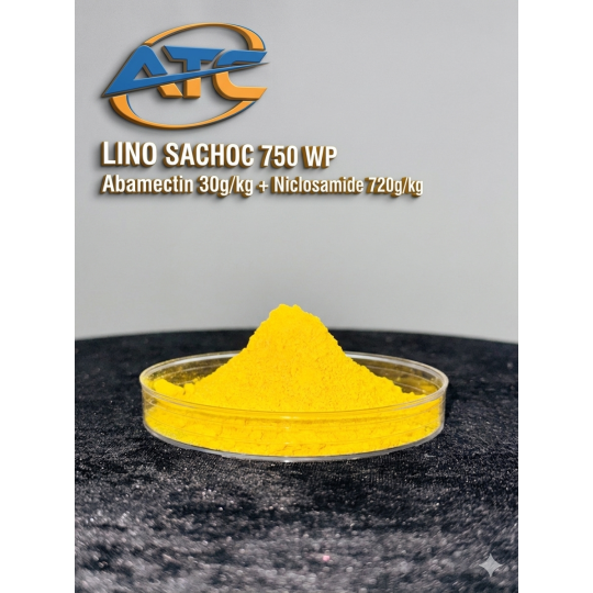 LINO SACHOC 750WP