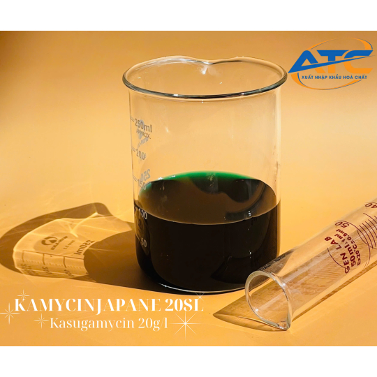 KAMYCINJAPANE 20 SL